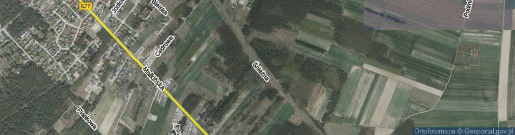 Zdjęcie satelitarne Śnieżna ul.